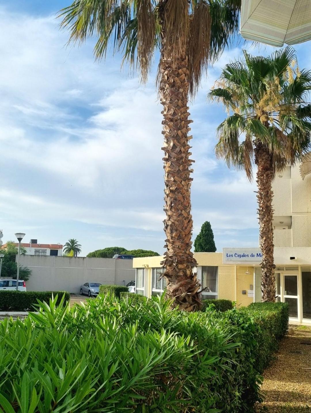 100 M De La Plage - Les Cigales De Mer - Studio Cabine - Parking Ле-Гро-дю-Руа Екстер'єр фото